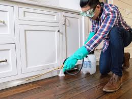 Best Pest Control for Multi-Family Homes  in Lamont, MI